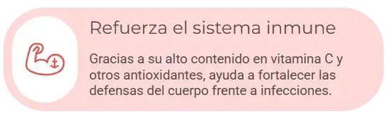 captura de pantalla 2025 11 13 202618