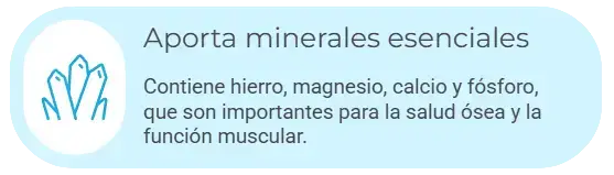 captura de pantalla 2025 11 13 202930