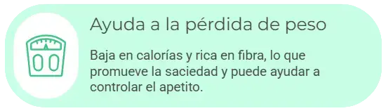 captura de pantalla 2025 11 13 202946