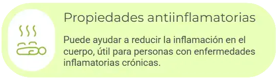 captura de pantalla 2025 11 13 203012